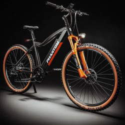 E-Mountain bike