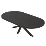 FROS | Table de bistrot | ovale | 200 x 100 cm | H 78 cm | Noir | Structure : Noir
