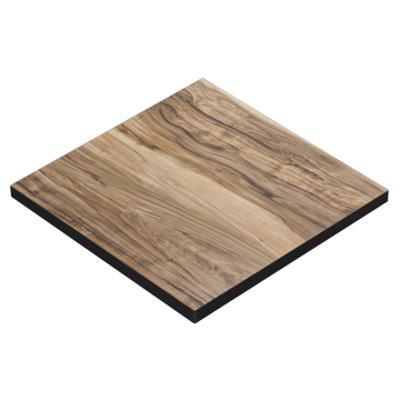 BRASIL | Gastro table top | W:D 80 x 80 cm | Sheesham | Square