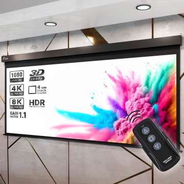 Pantera Canvas Motor 240 x 135 cm (110") | 16:9