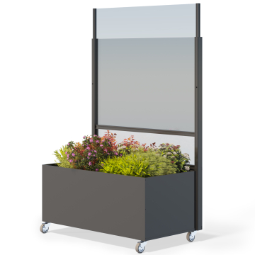 ISABELL | Frangivento | Incl. fioriera | Ruote | 100 x 175 cm | Antracite